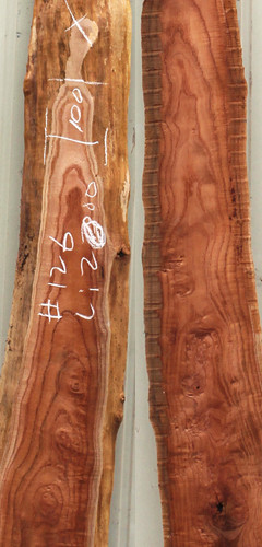 참죽나무126(두께25~32T x 폭135(평균) x 길이2000)