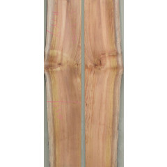 느티나무149번(29~32x228mm (평균폭) x3200mm)