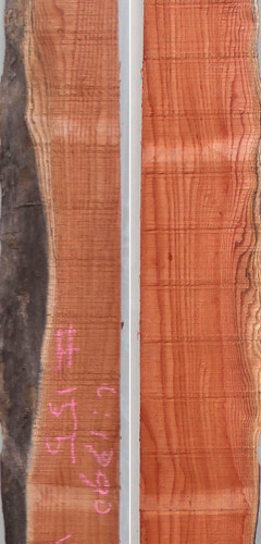 참죽나무155(두께32~36T x 폭132(평균) x 길이1990)