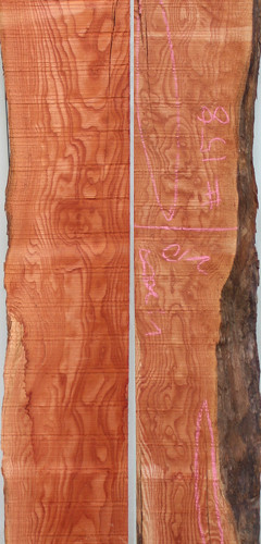 참죽나무158(두께32~36T x 폭225(평균) x 길이2000)