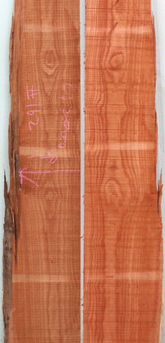 참죽나무162(두께32~36T x 폭245(평균) x 길이2000)