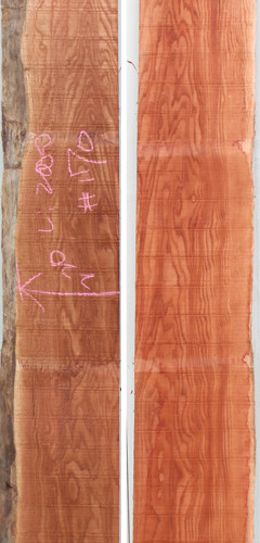 참죽나무170(두께32~36T x 폭228(평균) x 길이2000)