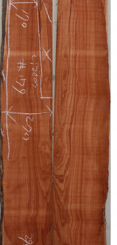 참죽나무179(두께32~36T x 폭258(평균) x 길이2000)