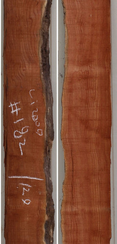 참죽나무182(두께32~36T x 폭128(평균) x 길이2000)