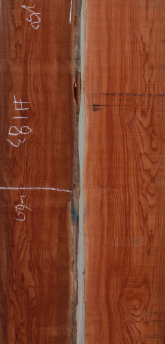 참죽나무183(두께32~36T x 폭216(평균) x 길이2000)