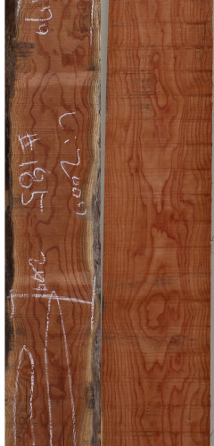 참죽나무185(두께32~36T x 폭202(평균) x 길이2000)