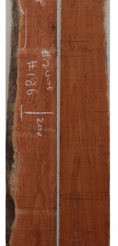 참죽나무186(두께32~36T x 폭232(평균) x 길이2000)
