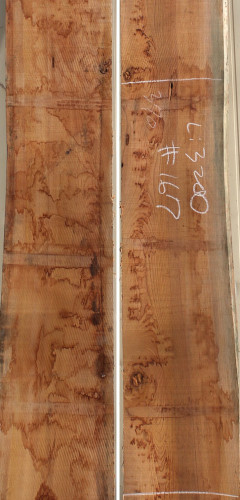 느티나무167번(29~32x365mm (평균폭) x3200mm)