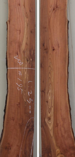 참죽나무195(두께32~36T x 폭235(평균) x 길이2300)