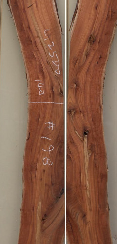 참죽나무198(두께32~36T x 폭182(평균) x 길이2500)