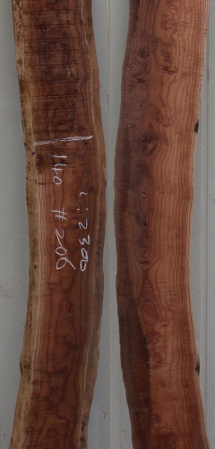 참죽나무206(두께32~36T x 폭135(평균) x 길이2300)