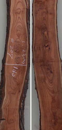 참죽나무207(두께32~36T x 폭155(평균) x 길이2300)